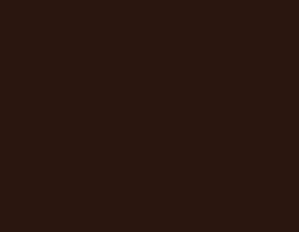 Цвет RR 32 (тёмно-коричневый) металлочерепицы Камея