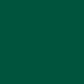 Цвет RAL 6005  (зелёный мох) металлочерепицы Викинг