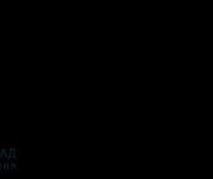 Цвет RAL 9005 (сигнально-черный) металлочерепицы Викинг